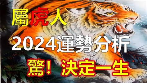 今年屬虎的運勢|生肖虎: 性格，愛情，2024運勢，生肖1989，2001，2013